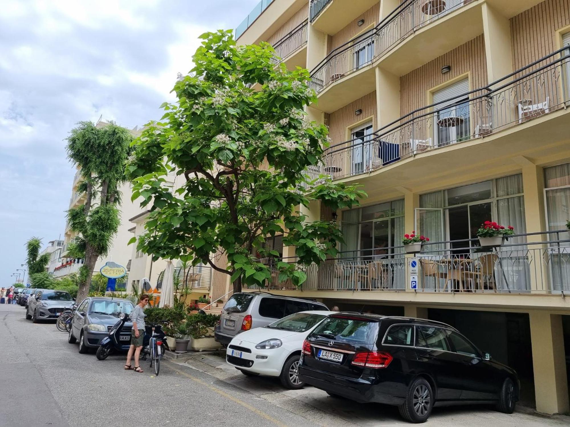Hotel Esperia กัตตอลิกา ภายนอก รูปภาพ